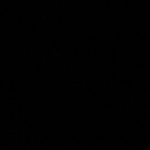 Meet your Posher, Torri